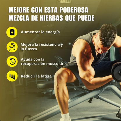 Gomas de Shilajit